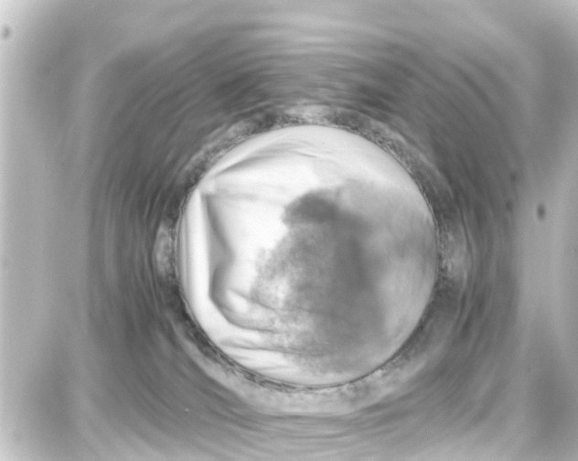 X0000087690036200705251719