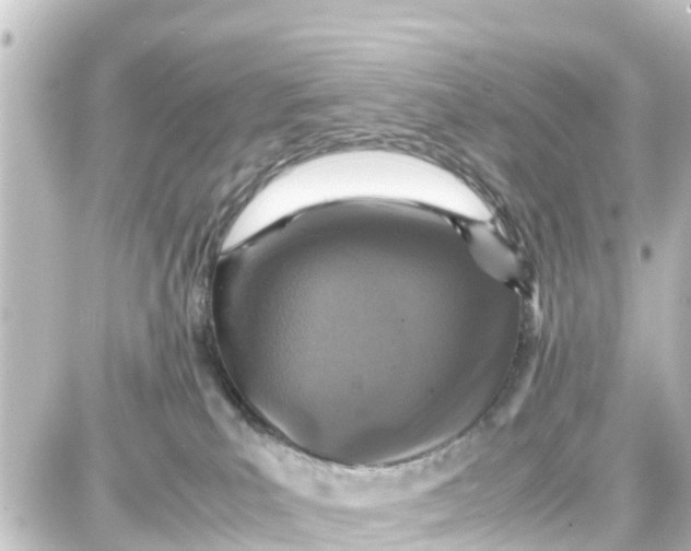 X0000087690039200705251719