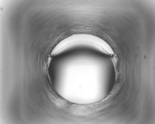 X0000087690045200705251719
