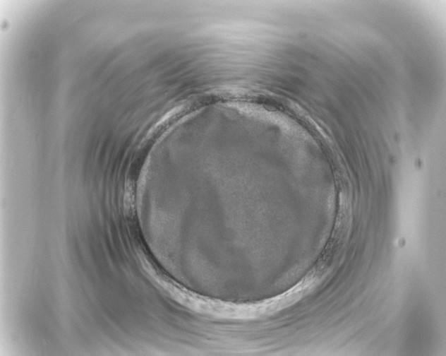 X0000087690048200705251719