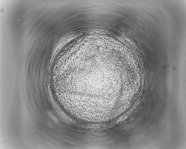 X0000087690049200705251719