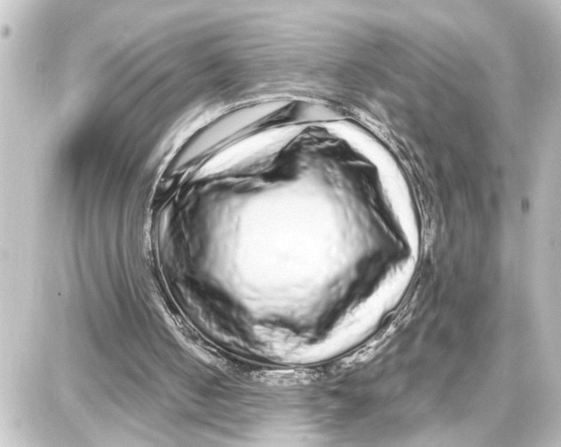 X0000087690050200705251719