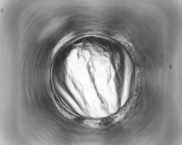 X0000087690051200705251719