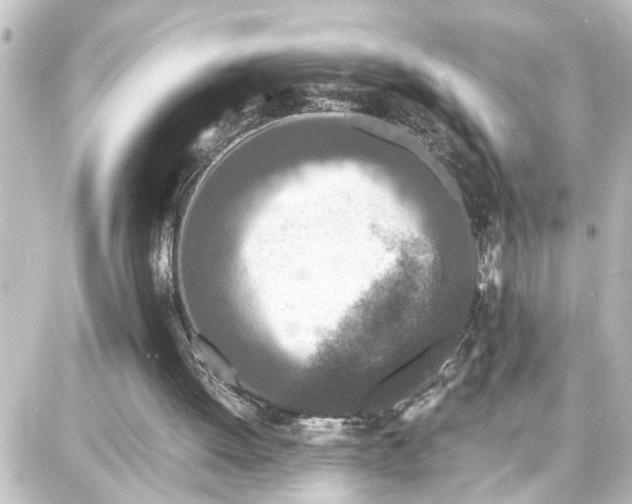 X0000087690052200705251719