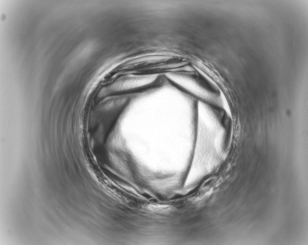 X0000087690055200705251719