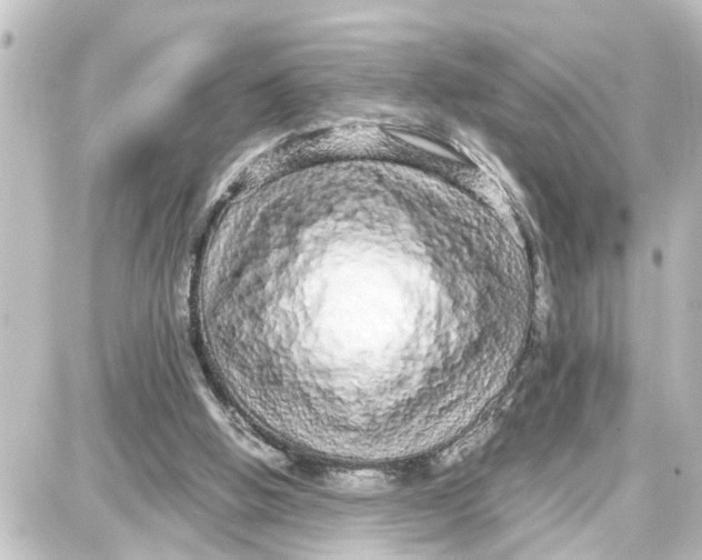 X0000087690058200705251719