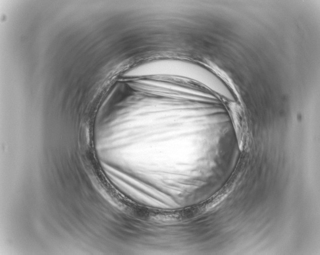 X0000087690061200705251719