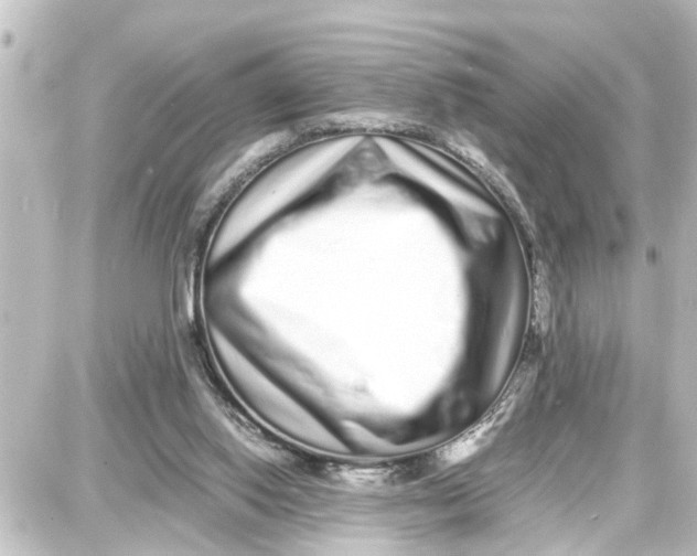 X0000087690062200705251719