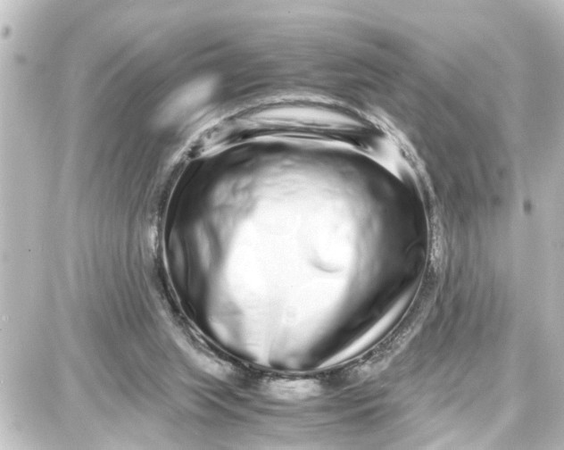 X0000087690063200705251719