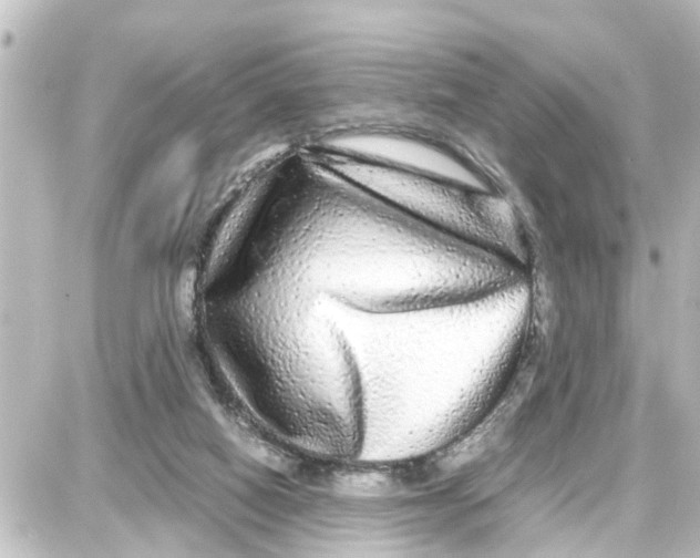 X0000087690066200705251719