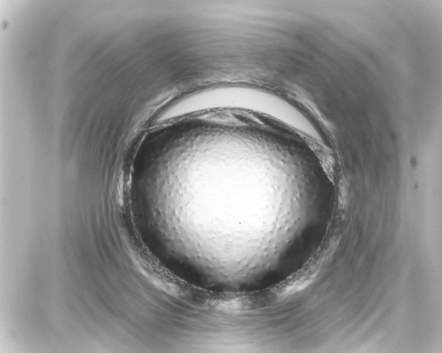 X0000087690068200705251719