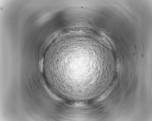 X0000087690070200705251719
