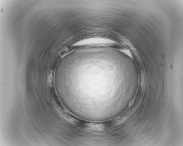 X0000087690073200705251719