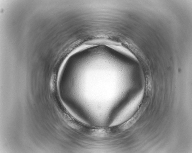X0000087690074200705251719