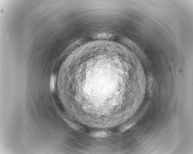X0000087690075200705251719