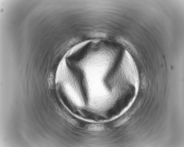 X0000087690077200705251719