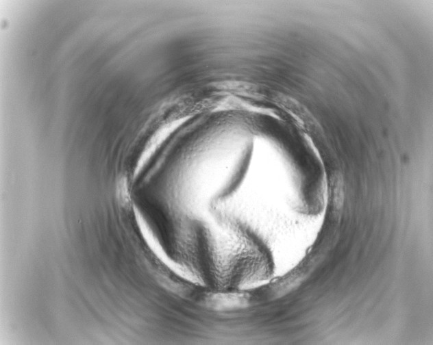 X0000087690089200705251719