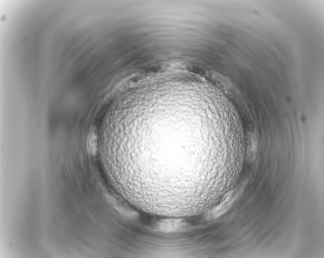 X0000087690090200705251719