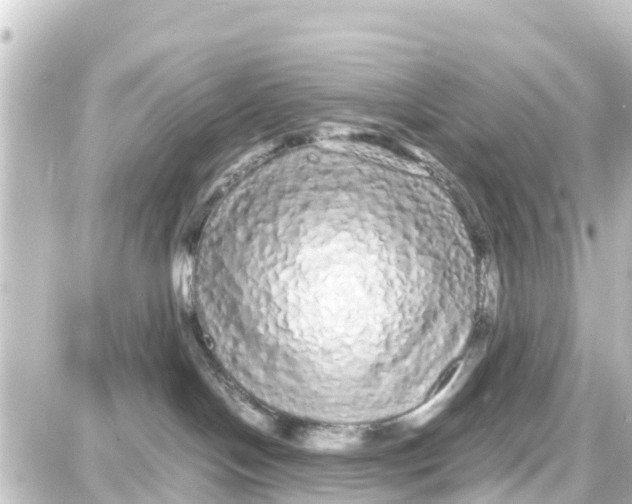 X0000087690094200705251719