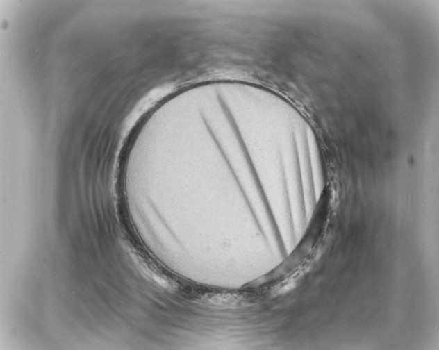 X0000087690104200705251718