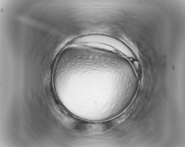 X0000087690107200705251718