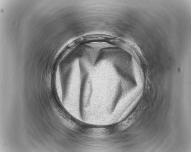 X0000087690108200705251718