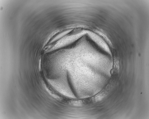 X0000087690110200705251718