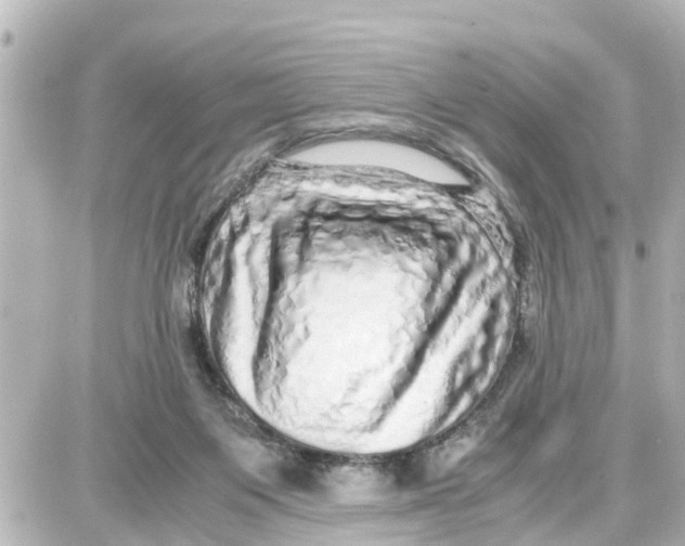X0000087690119200705251718