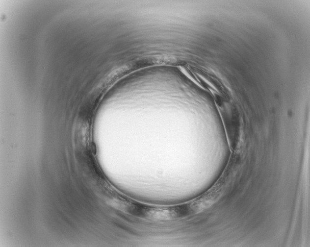 X0000087690123200705251718