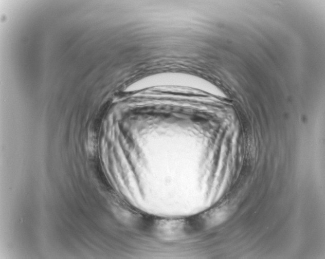 X0000087690135200705251718