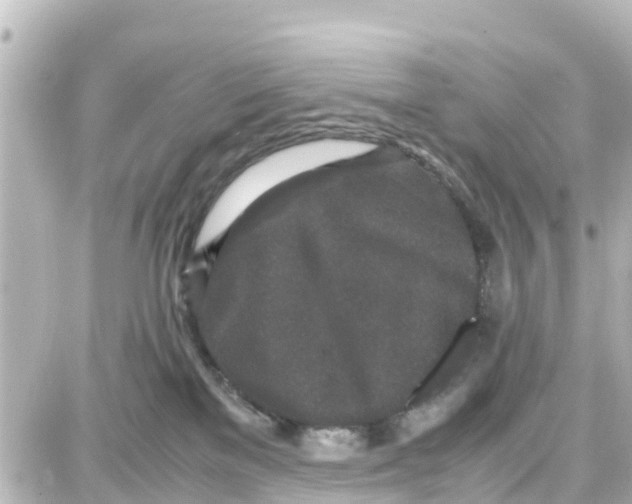 X0000087690137200705251718