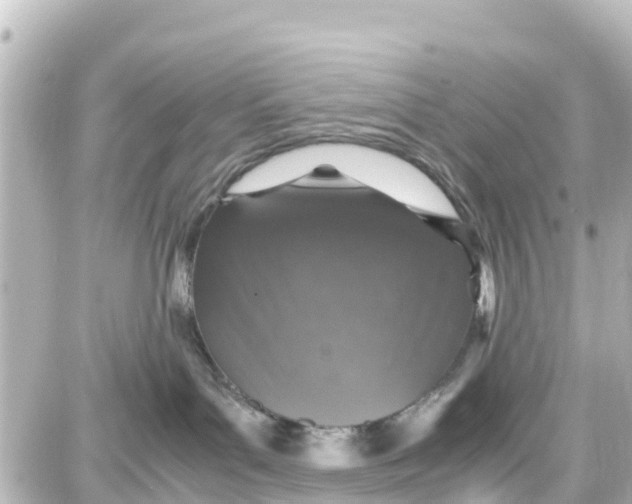 X0000087690143200705251718
