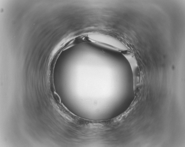 X0000087690150200705251717