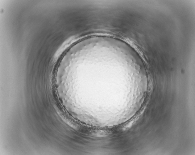 X0000087690151200705251717