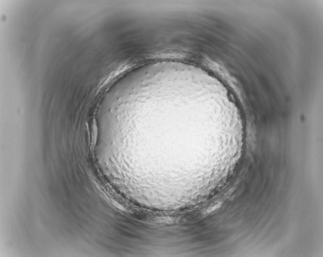 X0000087690153200705251717