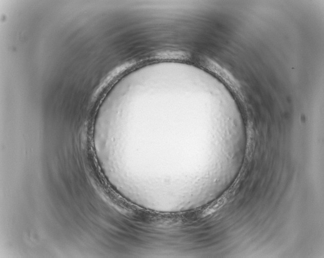 X0000087690155200705251717