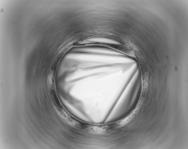 X0000087690166200705251717