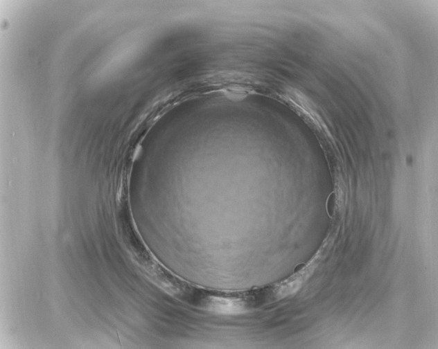 X0000087690167200705251717