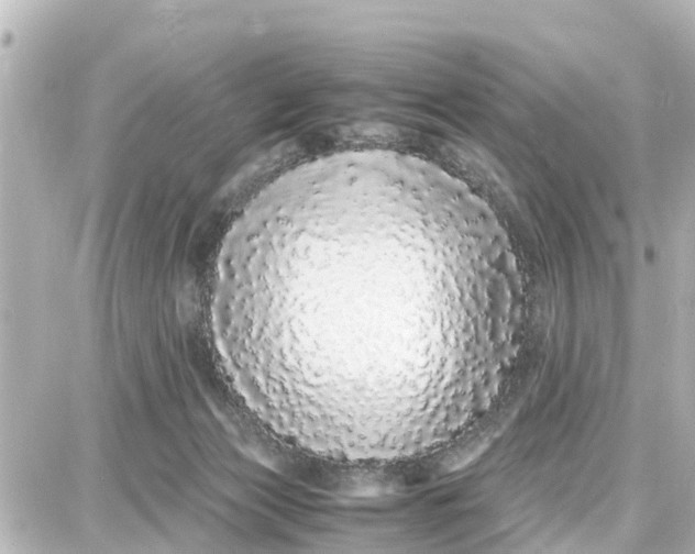 X0000087690173200705251717