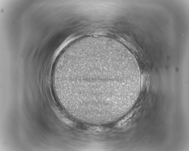 X0000087690195200705251717