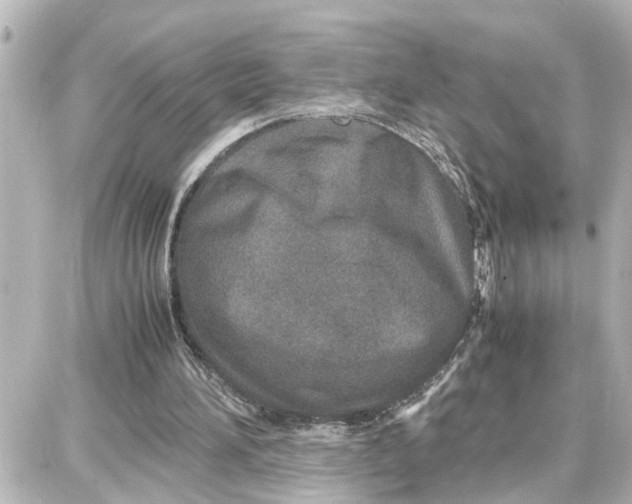 X0000087690196200705251717