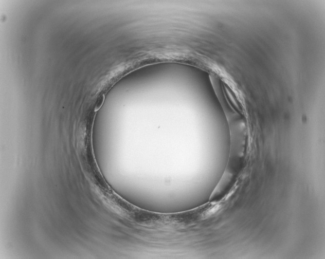 X0000087690201200705251717