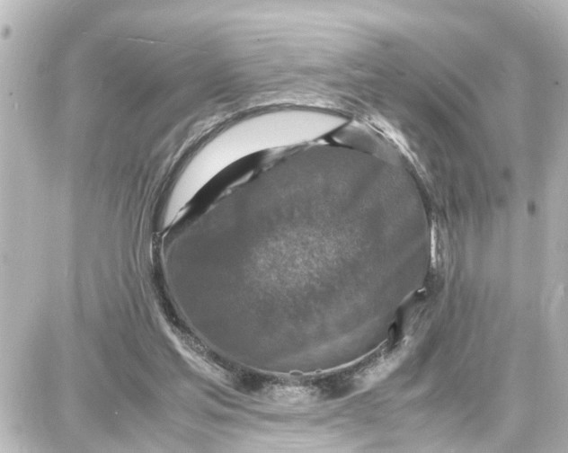 X0000087690205200705251717