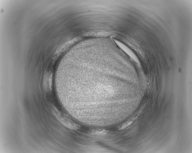 X0000087690206200705251717
