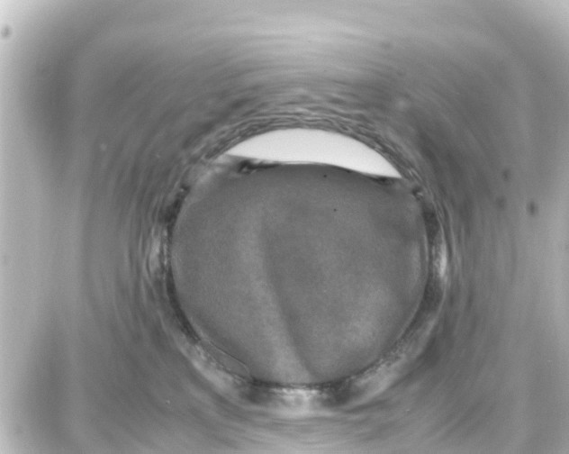 X0000087690233200705251716