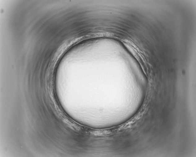 X0000087690241200705251715