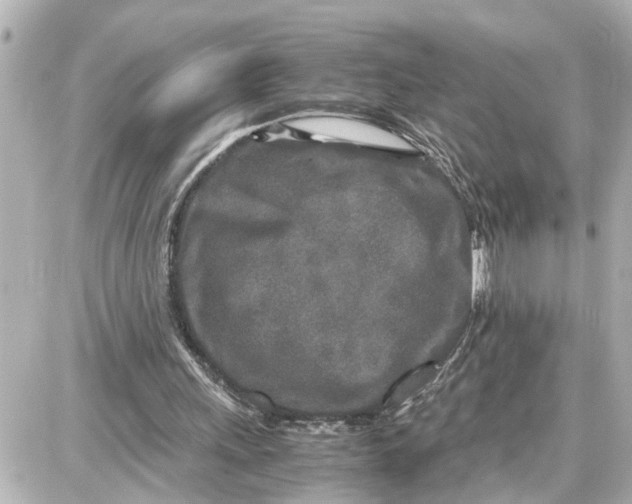 X0000087690243200705251715