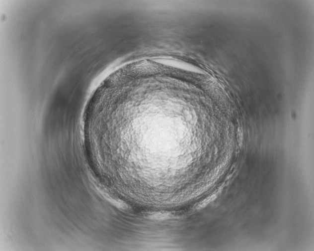 X0000087690246200705251715