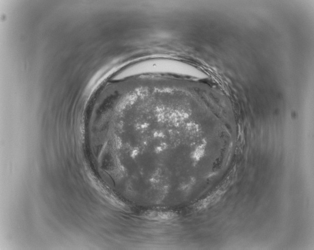 X0000087690247200705251716