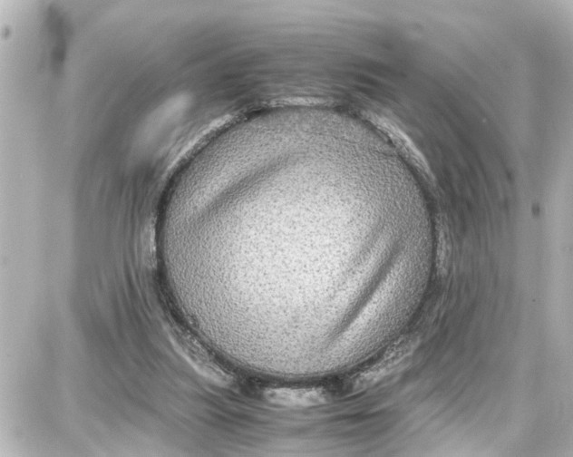 X0000087690251200705251716